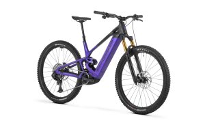SCREE RR 1