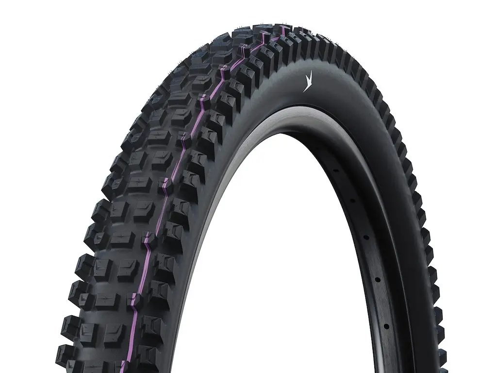 Schwalbe Albert 29″xx2,60″